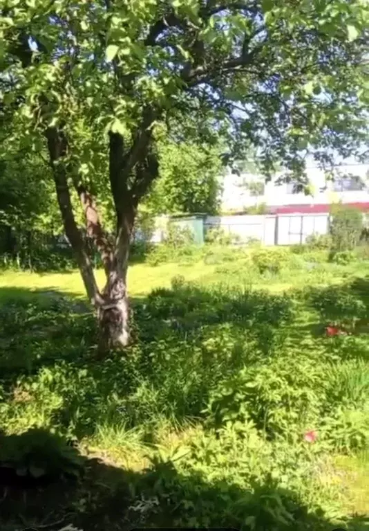 Участок в Московская область, Мытищи городской округ, д. Семкино, ... - Фото 1