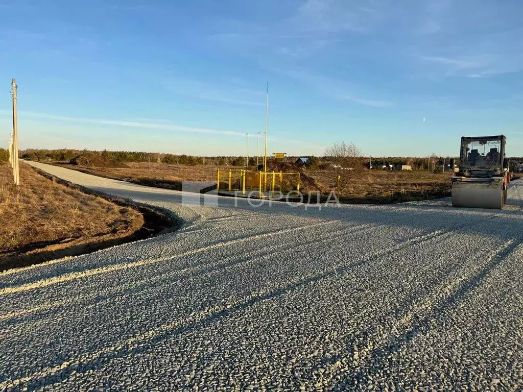 Участок в Алтайский край, Первомайский район, с. Фирсово, Рощино мкр ... - Фото 1