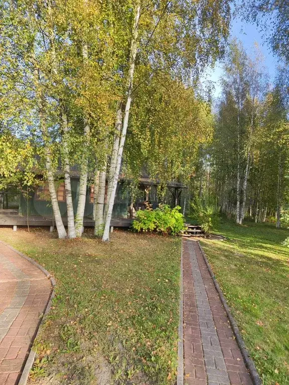 Участок 10 сот. (СНТ, ДНП) - Фото 0