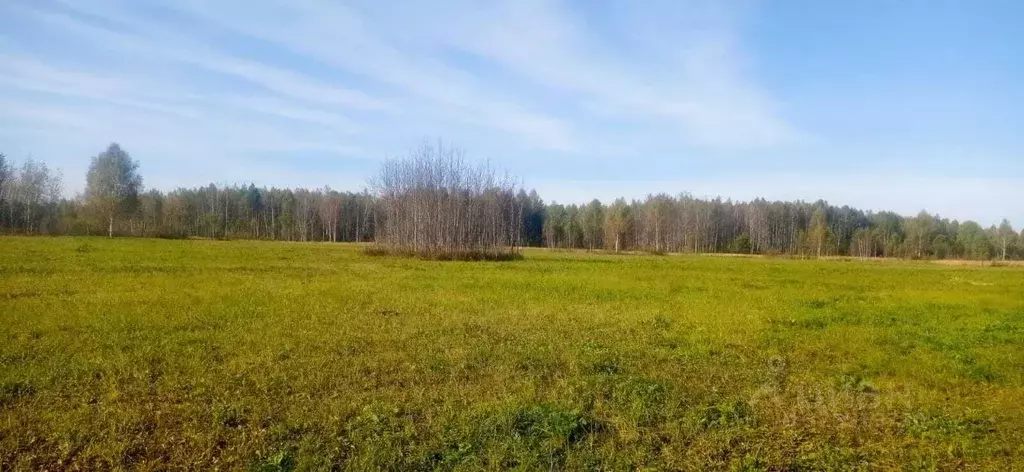 Участок в Ярославская область, Некрасовский муниципальный округ, д. ... - Фото 1