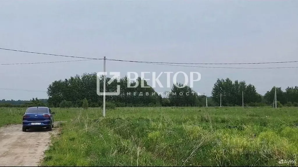 Участок в Ярославская область, Ярославский муниципальный округ, д. ... - Фото 0