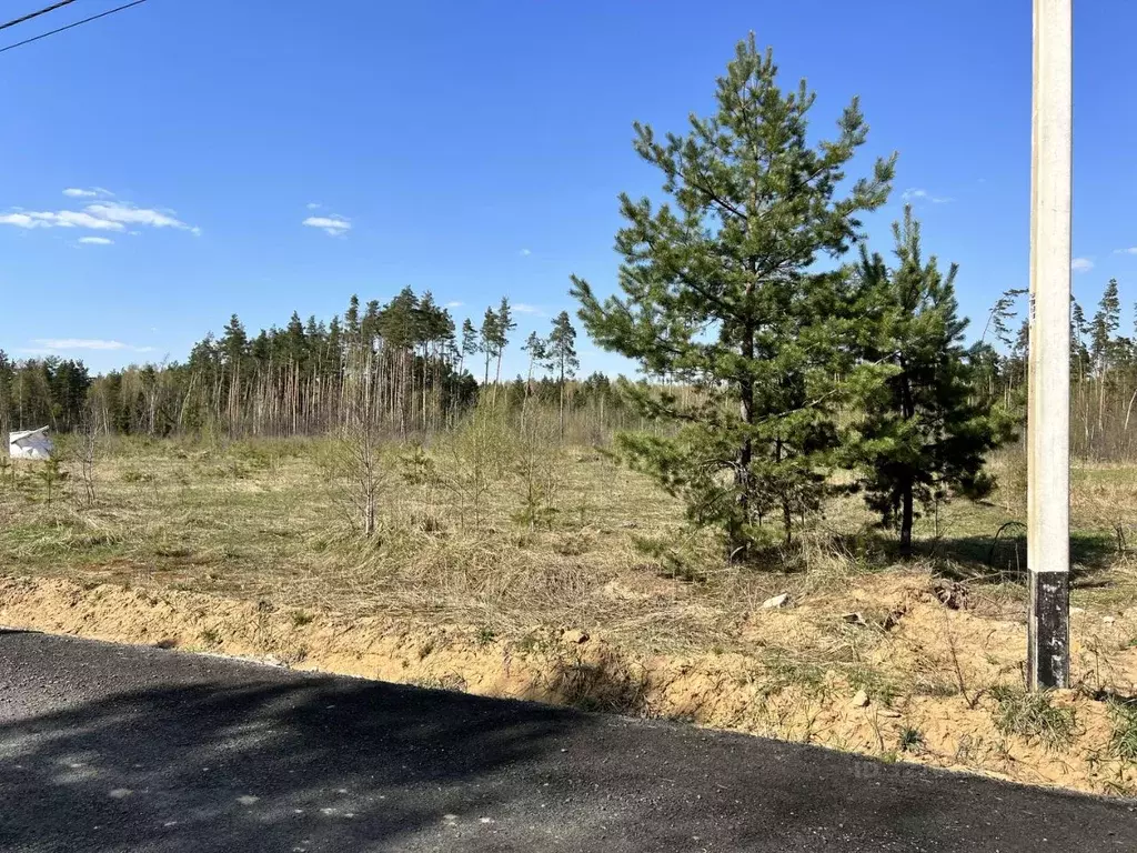 Участок в Московская область, Электроугли Богородский городской округ, ... - Фото 2
