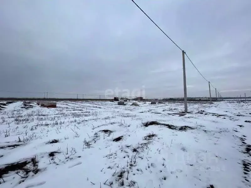 Участок в Белгородская область, Белгородский район, с. Стрелецкое 81 ... - Фото 0
