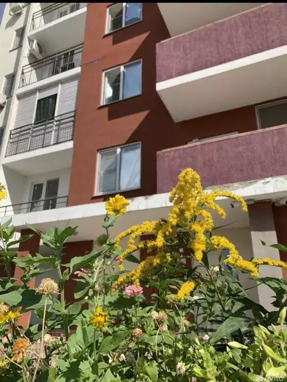 2-к кв. Астраханская область, Астрахань Имени Бабаевского мкр, ул. ... - Фото 1