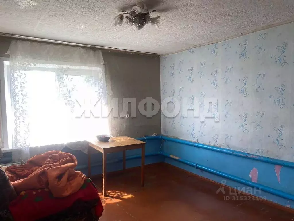 3-к кв. Новосибирская область, Искитимский район, д. Бурмистрово ... - Фото 1