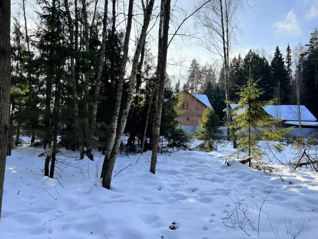 Участок в Московская область, Одинцовский городской округ, д. ... - Фото 2