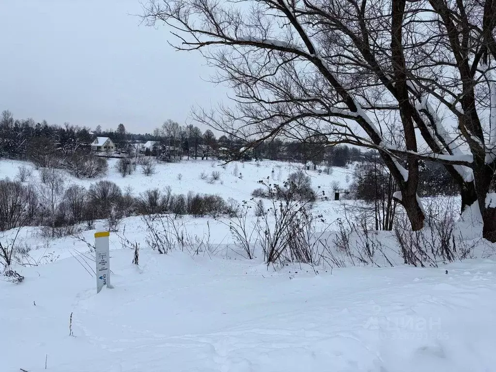 Участок в Московская область, Ступино городской округ, д. Прудно ул. ... - Фото 1