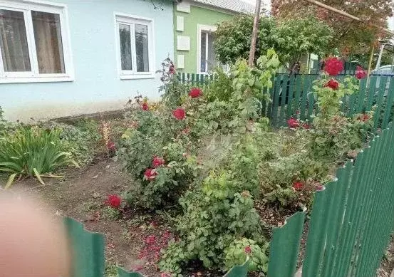 Дом 81,3 м на участке 8 сот. - Фото 0