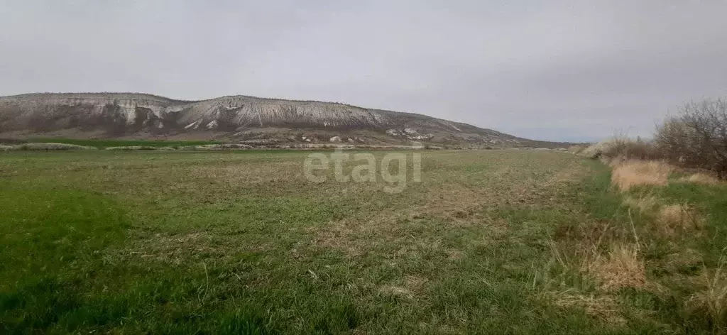 Участок в Крым, Белогорский район, с. Курское ул. Северная (100.0 ... - Фото 1