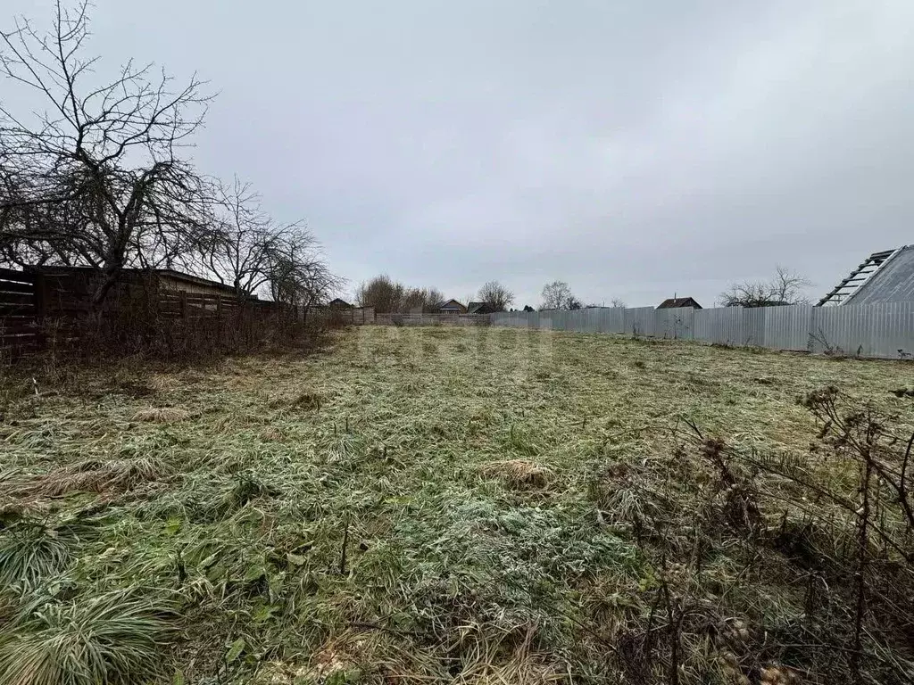 Участок в Владимирская область, Ковровский район, Новосельское с/пос, ... - Фото 1