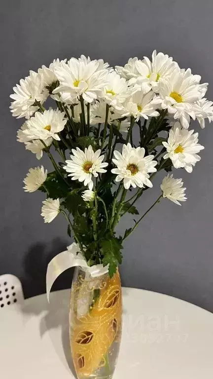 Студия Свердловская область, Екатеринбург ул. Юмашева, 6 (26.0 м) - Фото 2