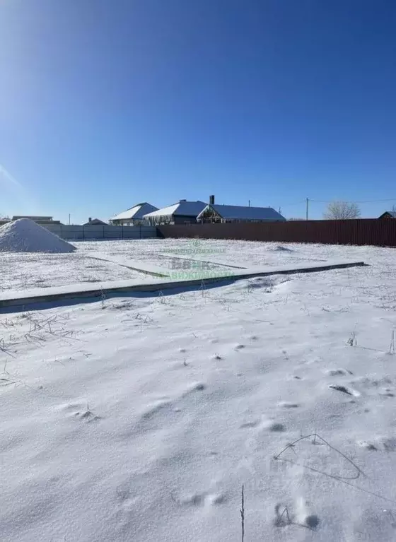 Участок в Саратовская область, Балаковский район, с. Натальино ул. ... - Фото 2