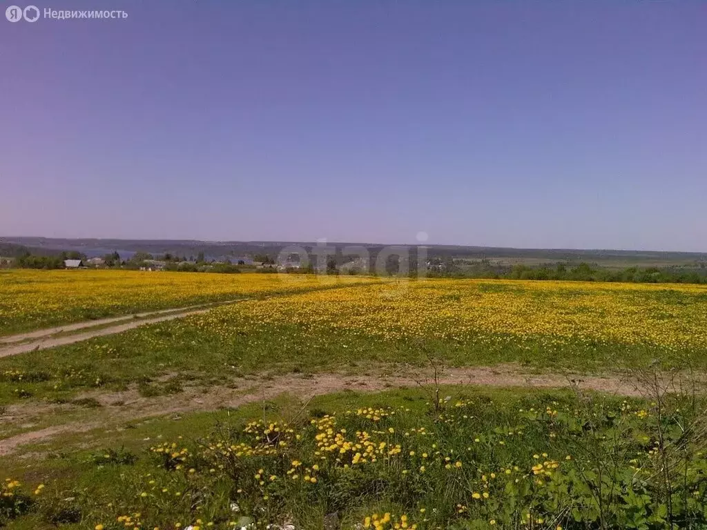 Участок в Ярославская область, Тутаевский муниципальный округ, посёлок ... - Фото 1