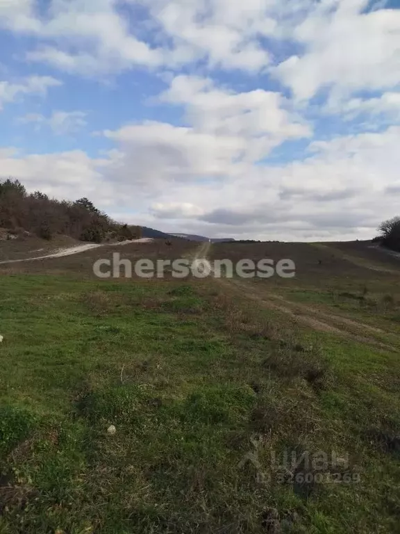 Участок в Севастополь с. Терновка, ул. Балаклавская (4.04 сот.) - Фото 2