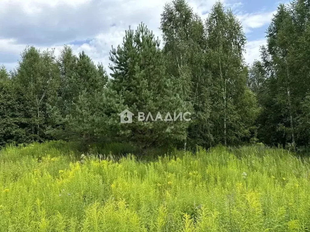 Участок в Нижегородская область, Богородский муниципальный округ, д. ... - Фото 1