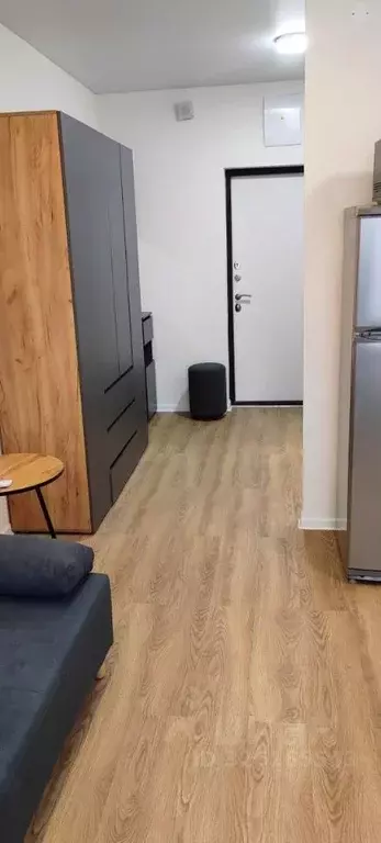 Студия Московская область, Домодедово городской округ, с. Ям ул. ... - Фото 1