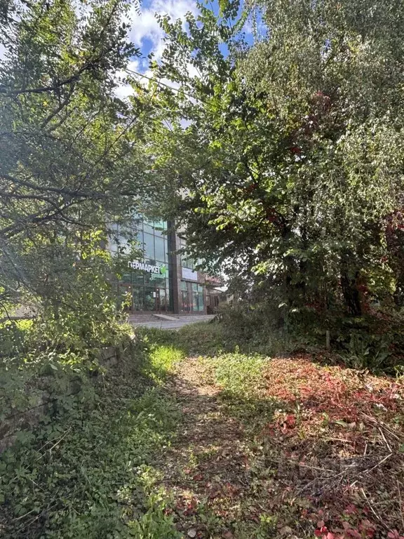 Коттедж в Московская область, Мытищи городской округ, д. Малое ... - Фото 2