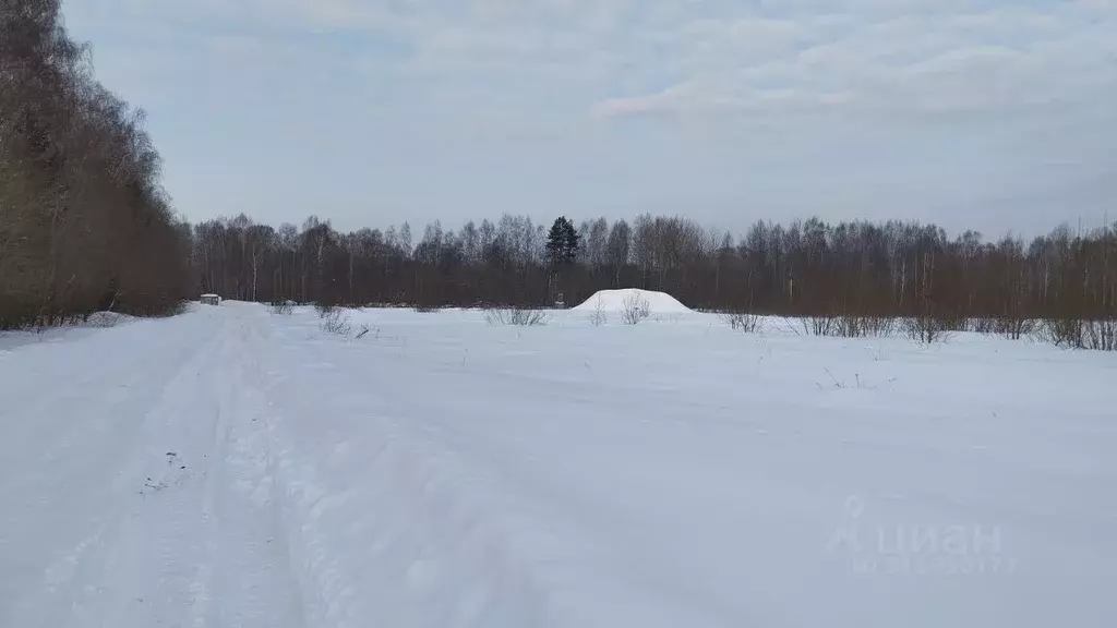 Участок в Московская область, Дмитровский городской округ, с. Борисово ... - Фото 1