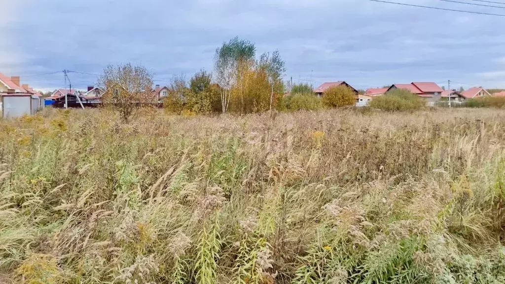 Участок в Ярославская область, Ярославский муниципальный округ, д. Бор ... - Фото 0