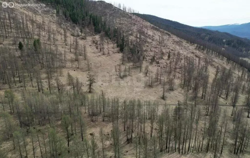 Участок в Онгудайский район, село Ело (139.14 м) - Фото 1