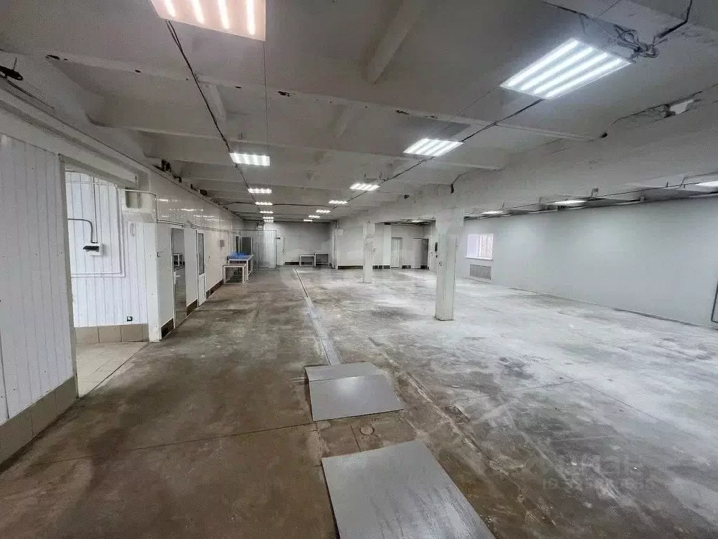 Помещение свободного назначения в Новосибирская область, Новосибирский ... - Фото 2