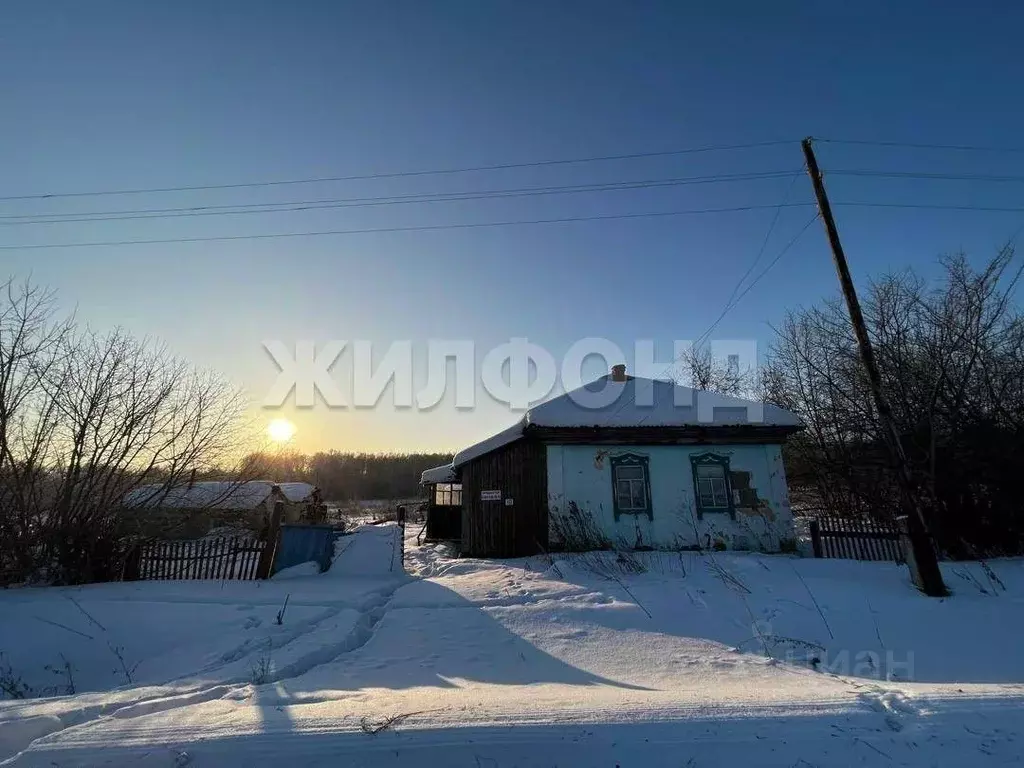 Дом в Новосибирская область, Тогучинский район, д. Изылы ул. Губина ... - Фото 0