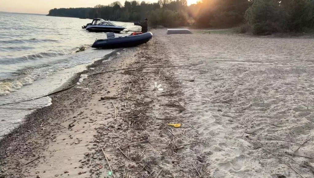 Участок в Псковская область, Псковский район, Залитских островов тер., ... - Фото 1