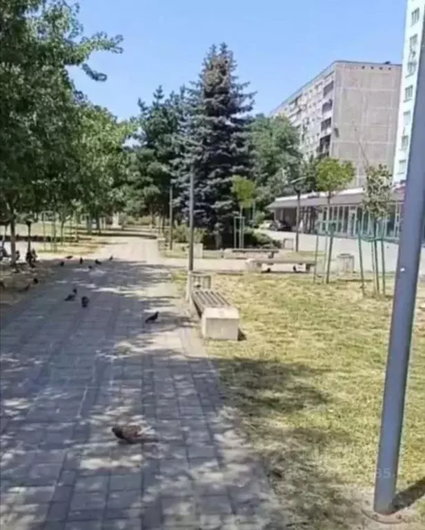 2-к кв. Адыгея, Майкоп Шоссейная ул., 22 (50.2 м) - Фото 1