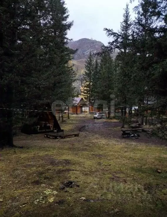 Участок в Алтай, Улаганский район, с. Акташ Ленинская ул. (13.0 сот.) - Фото 1