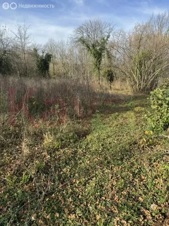 Участок в посёлок Новые Поляны, улица Кирова, 245 (15 м) - Фото 2