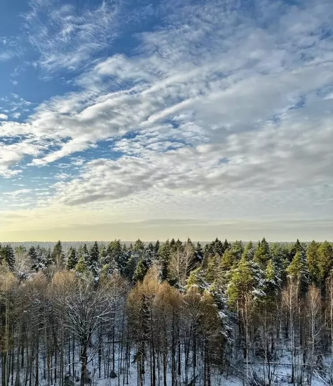 1-к кв. Московская область, Мытищи ул. Стрельбище Динамо, 10 (37.0 м) - Фото 1