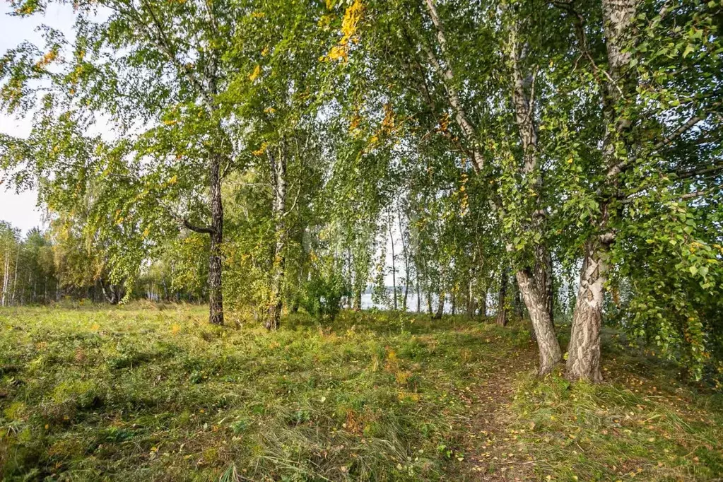 Участок в Новосибирская область, Искитимский район, Мичуринский ... - Фото 0