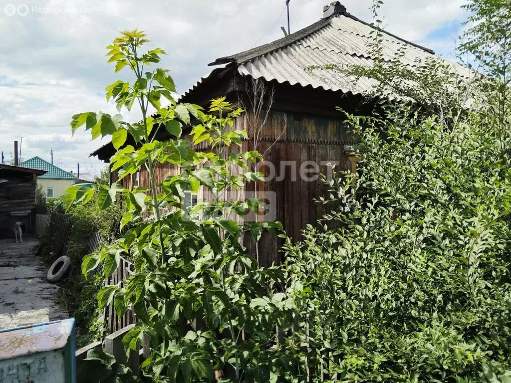 Участок в Рубцовск, улица Степана Разина, 58 (6 м) - Фото 1