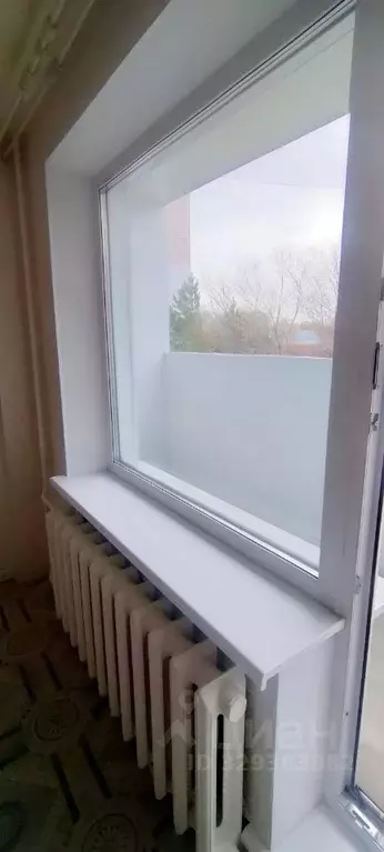Студия Омская область, Омск пос. Амурский, ул. Багратиона, 88 (22.7 м) - Фото 2