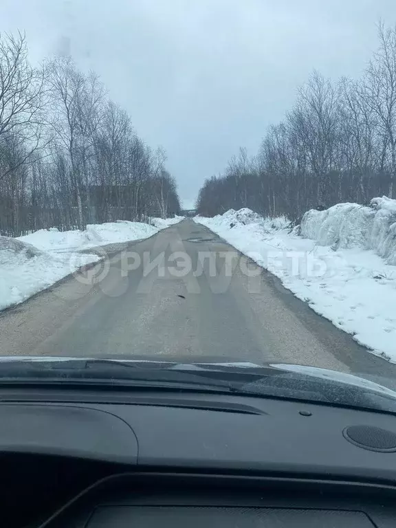 Участок 10 сот. (СНТ, ДНП) - Фото 0
