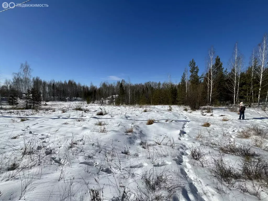 Участок в Челябинская область, Аргаяшский муниципальный округ, СПК ... - Фото 2