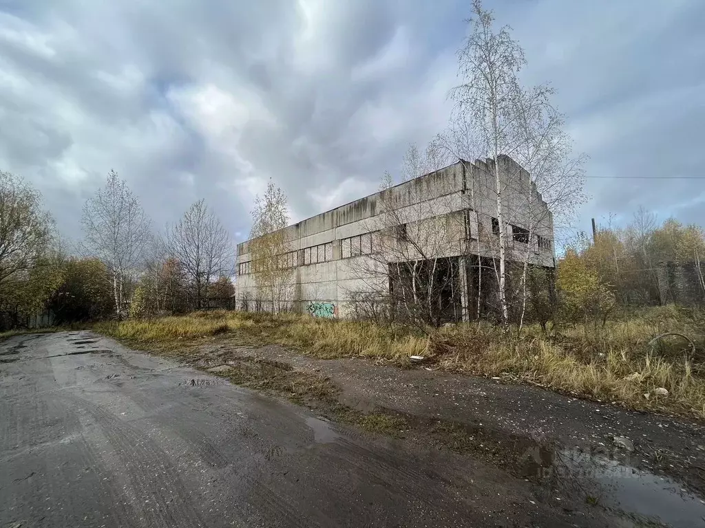 Производственное помещение в Владимирская область, Александров ул. ... - Фото 1