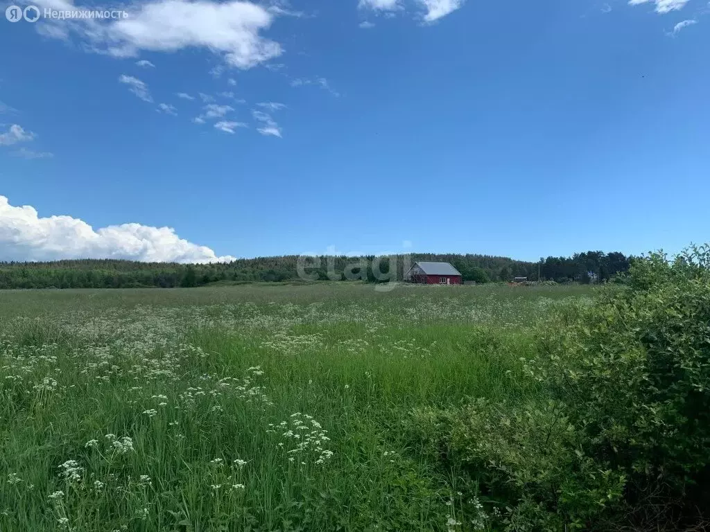 Участок в Республика Карелия, Сортавальский муниципальный округ, ... - Фото 1