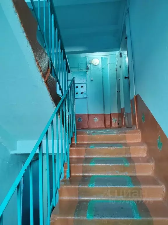 3-к кв. Кемеровская область, Мариинск Набережная ул., 136 (58.6 м) - Фото 2