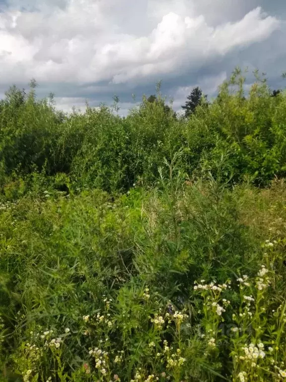 Участок в Калужская область, Перемышльский район, Большие Козлы с/пос, ... - Фото 1