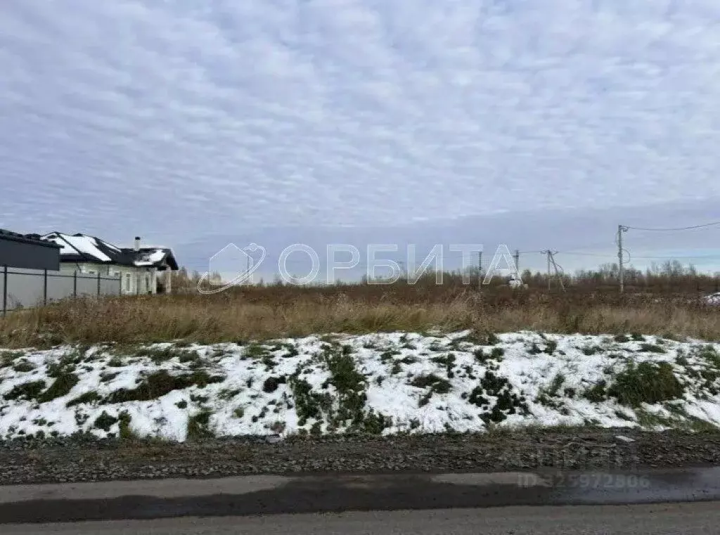 Участок в Тюменская область, Тюменский муниципальный округ, с. Луговое ... - Фото 2