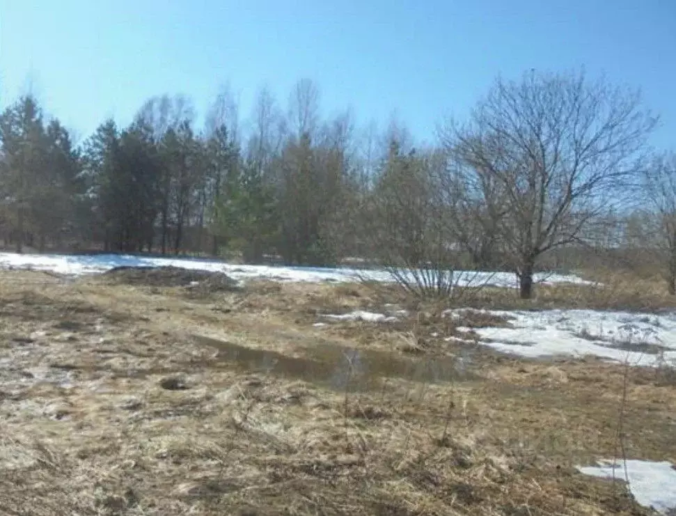 Участок в Московская область, Дмитровский муниципальный округ, с. ... - Фото 2