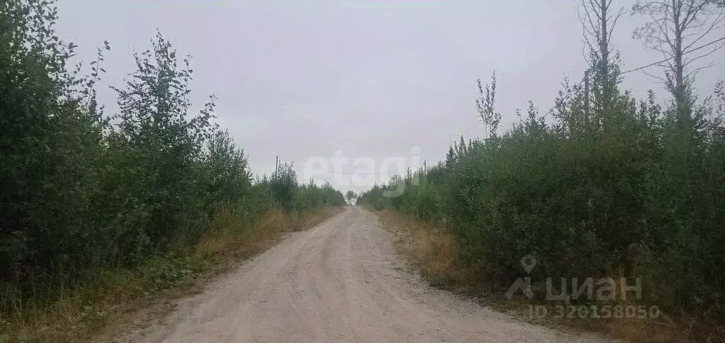 Участок в Карелия, Петрозаводск проезд Киндасовский, 34 (10.5 сот.) - Фото 0