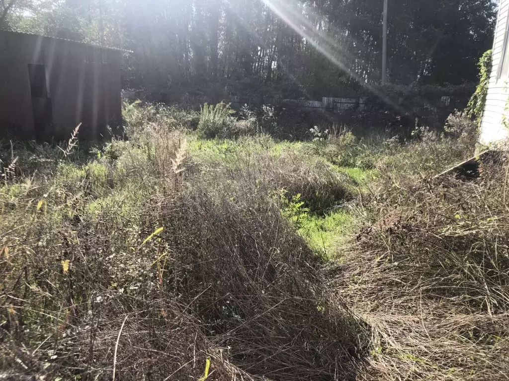 Дом в Краснодарский край, Сочи Магнитогорская ул., 13/46 (45 м) - Фото 1