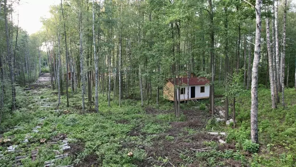 Участок в Ленинградская область, Всеволожский район, Куйвозовское ... - Фото 0