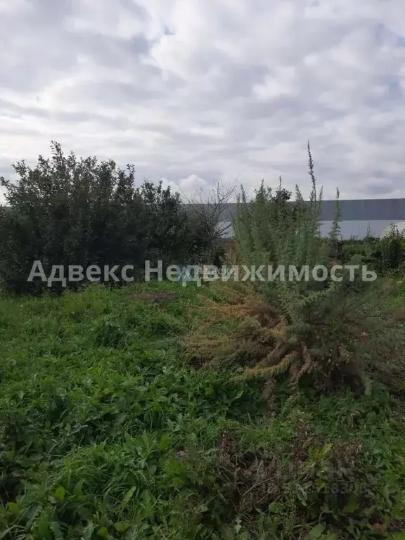 Участок в Тюменская область, Тюмень Казарово мкр, ул. 1-я Новая, 91 ... - Фото 1