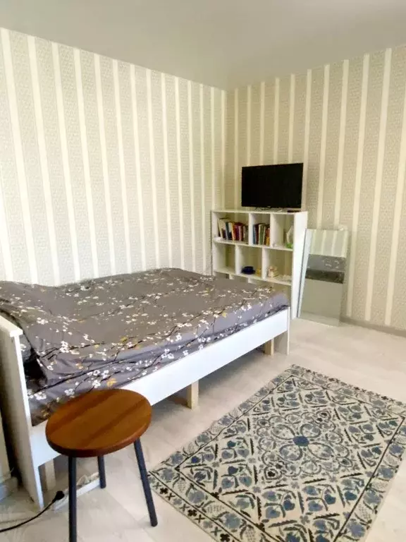 1-к кв. Псковская область, Псков ул. Яна Фабрициуса, 21 (33.0 м) - Фото 2