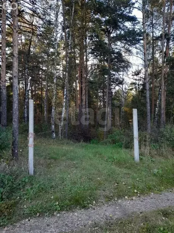 Участок в Миасс, СНТ Локомотив (5.75 м) - Фото 2