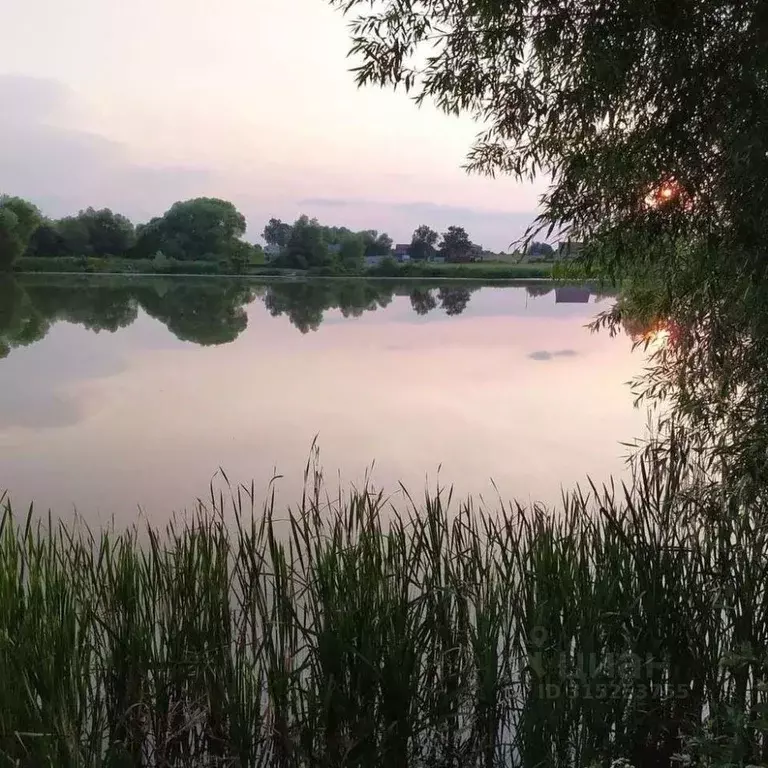 Участок в Рязанская область, Захаровский район, Добро-Пчельское с/пос, ... - Фото 1
