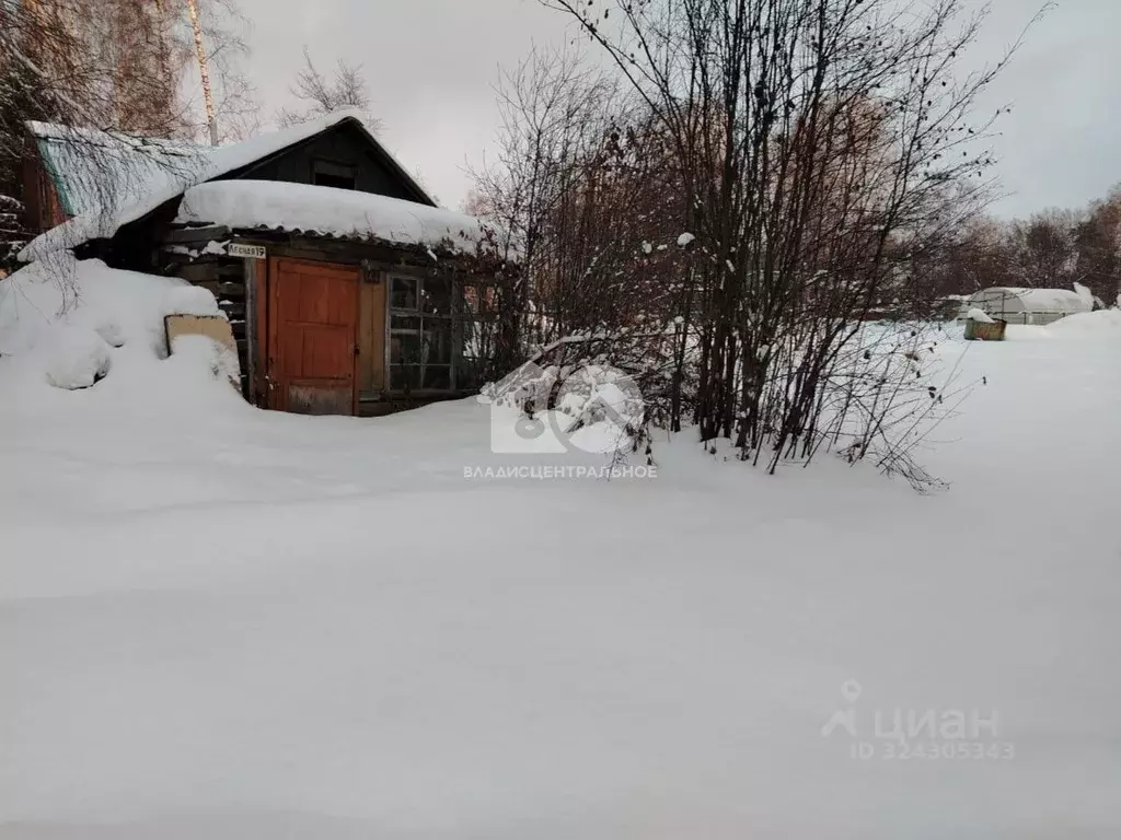 Участок в Новосибирская область, Новосибирск Сибиряк СНТ, ул. Лесная ... - Фото 1